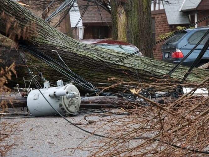 A fallen tree and a utility transformer onto the street