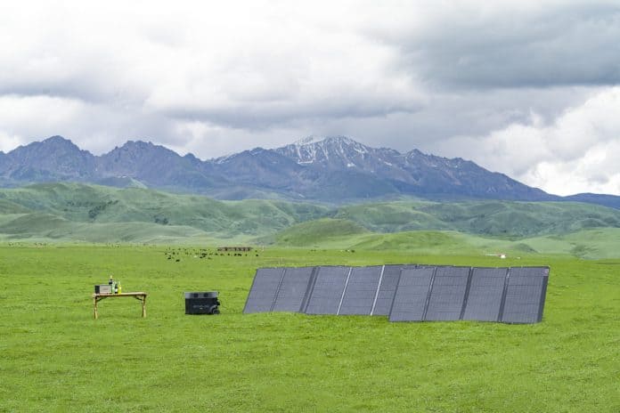 freiflächen photovoltaik vergütung