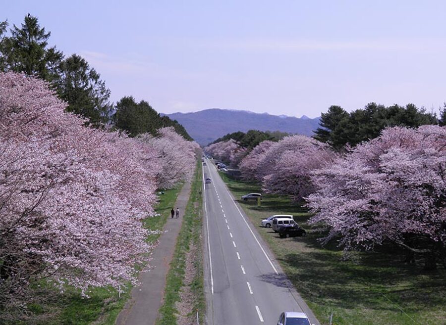 北海道 ドライブ