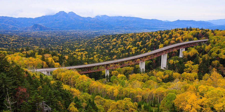 北海道 ドライブ