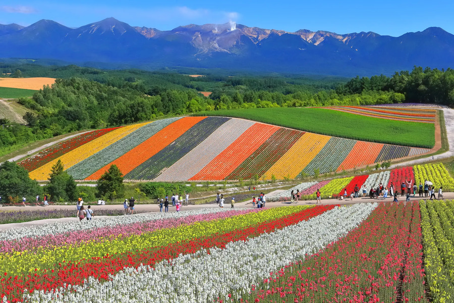 北海道 ドライブ