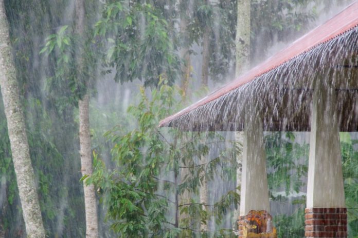 大雨 対策