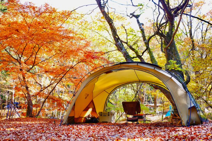 秋　キャンプ