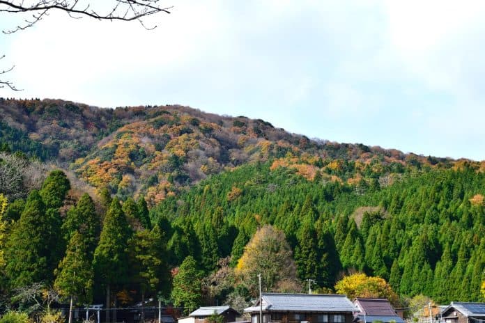 デイキャンプ 関西