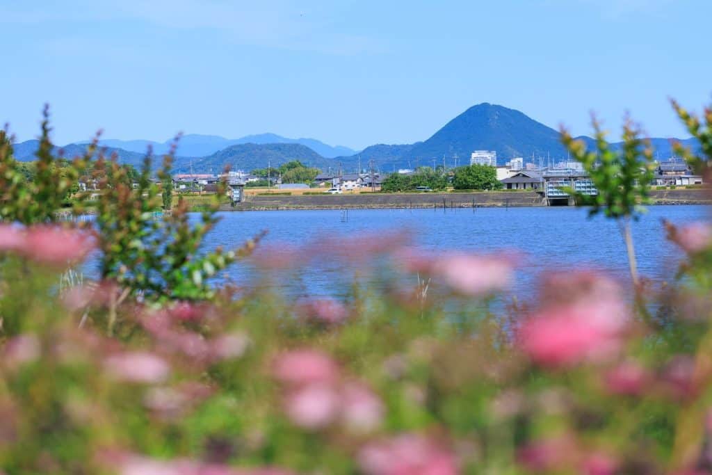 デイキャンプ 関西