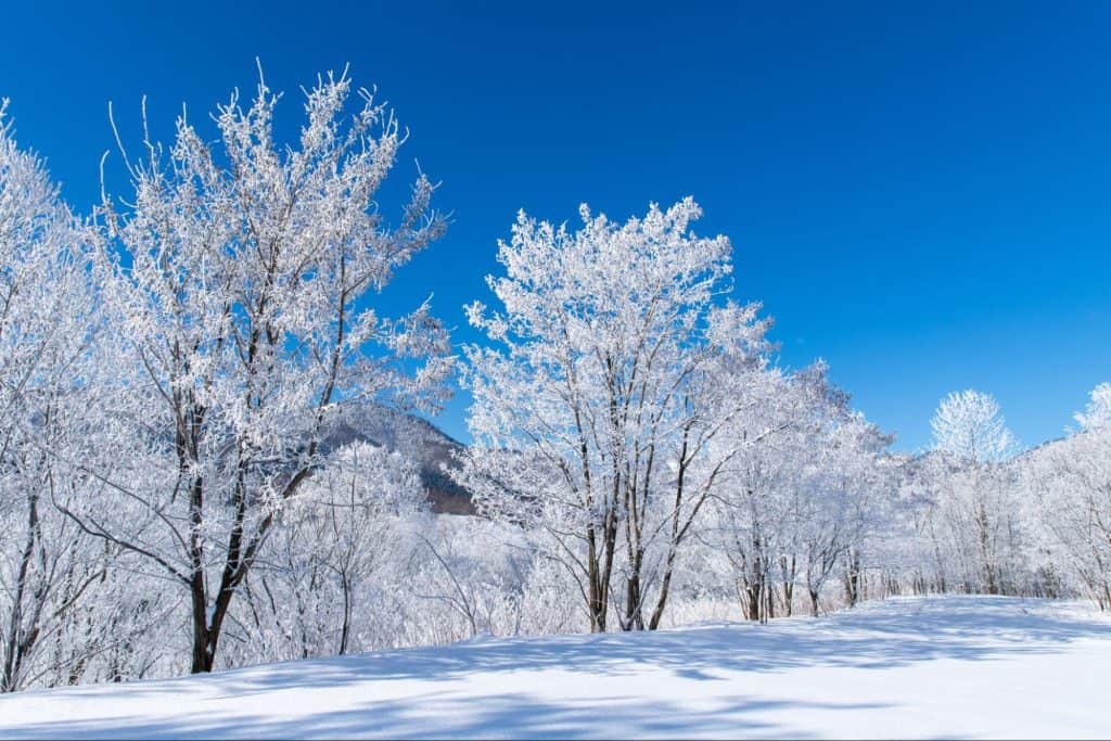 キャンプ場 北海道