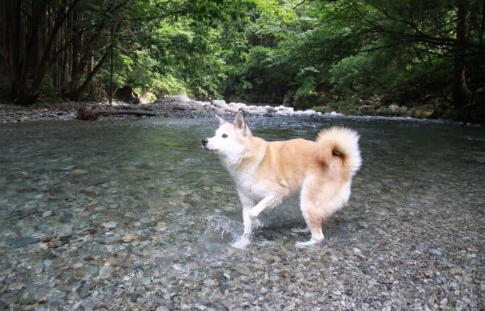 kanto river fun