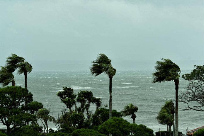 台風 風速 平均