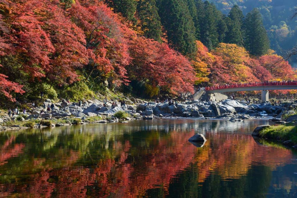 香嵐渓紅葉