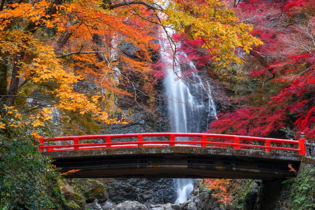 箕面公園紅葉