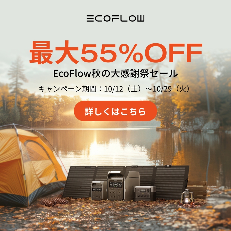 釣り初心者が揃えるべき道具10選！海釣り・川釣りに必要な道具一式も解説 - EcoFlow(エコフロー)公式ブログ