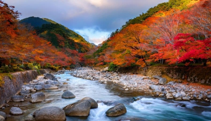 紅葉 の 見頃 関東