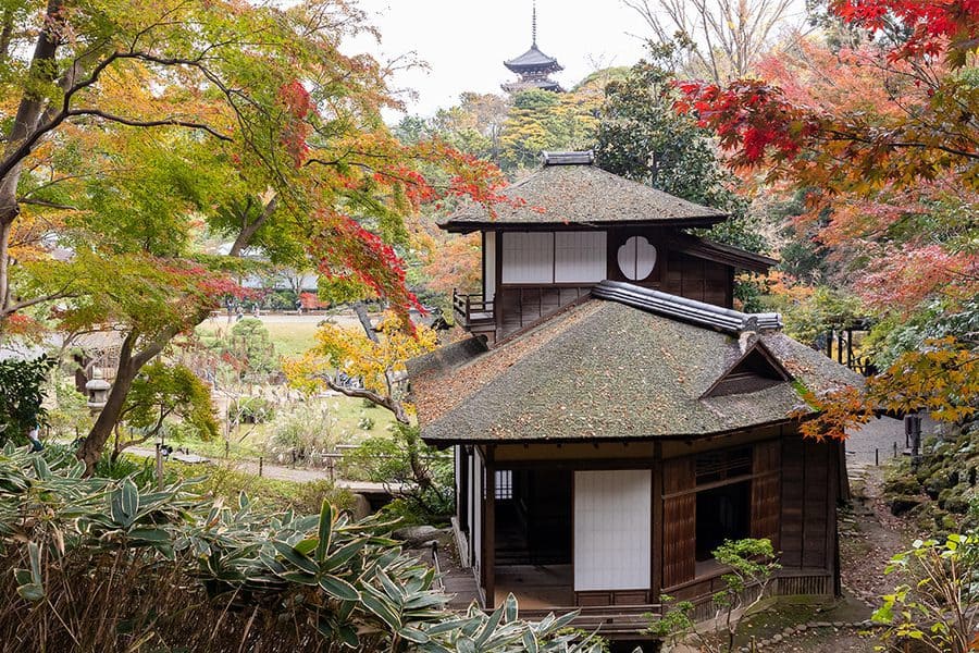 関東 紅葉 名所