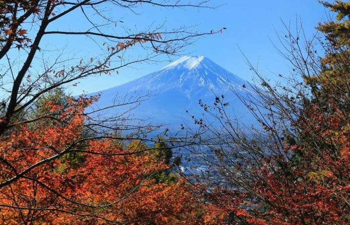 autumn foliage viewing area kanto