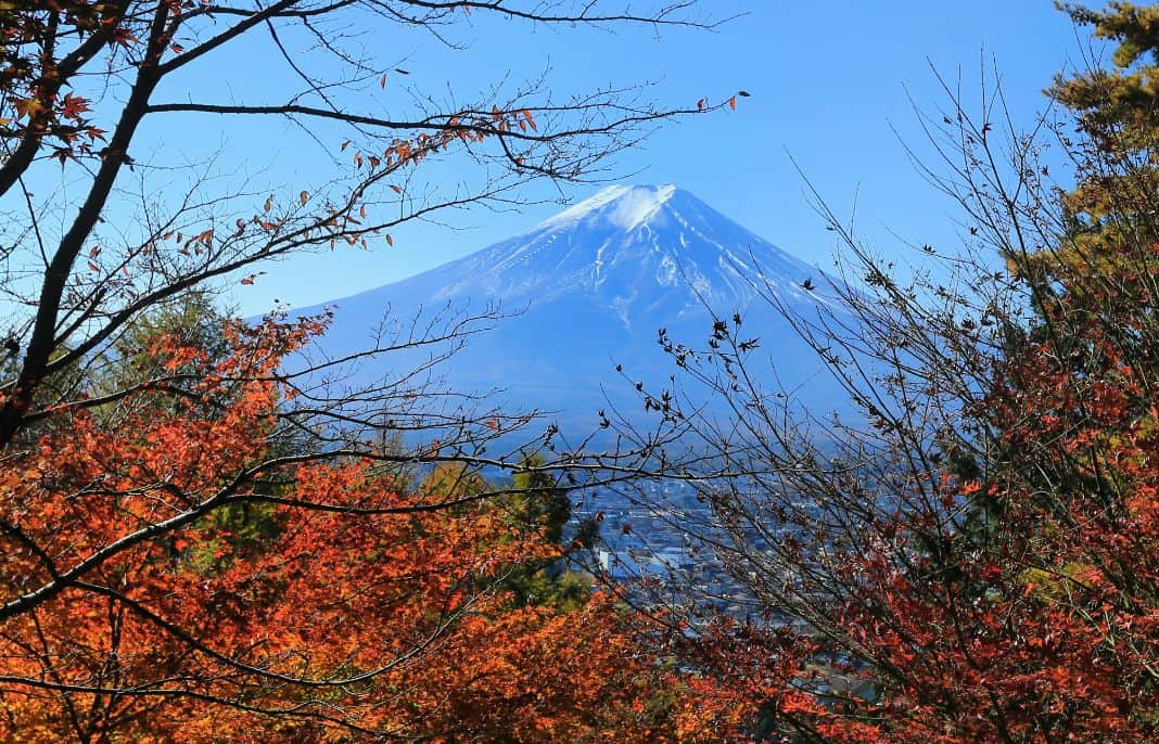 関東における紅葉の見頃とは？穴場の紅葉スポット10選や楽しみ方も紹介