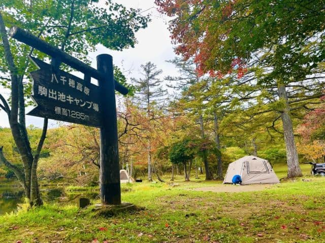 軽井沢 キャンプ場 おすすめ