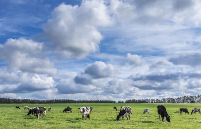 recommended farms hokkaido