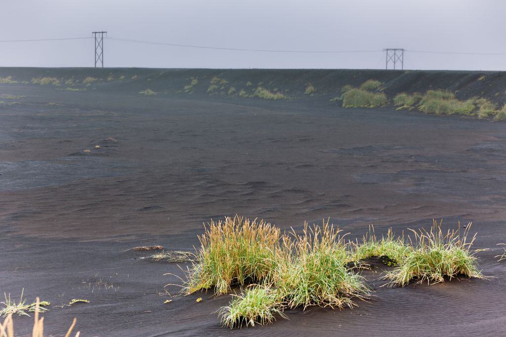 火山　災害