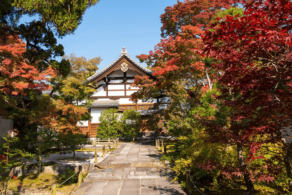 嵐山　紅葉狩り　スポット