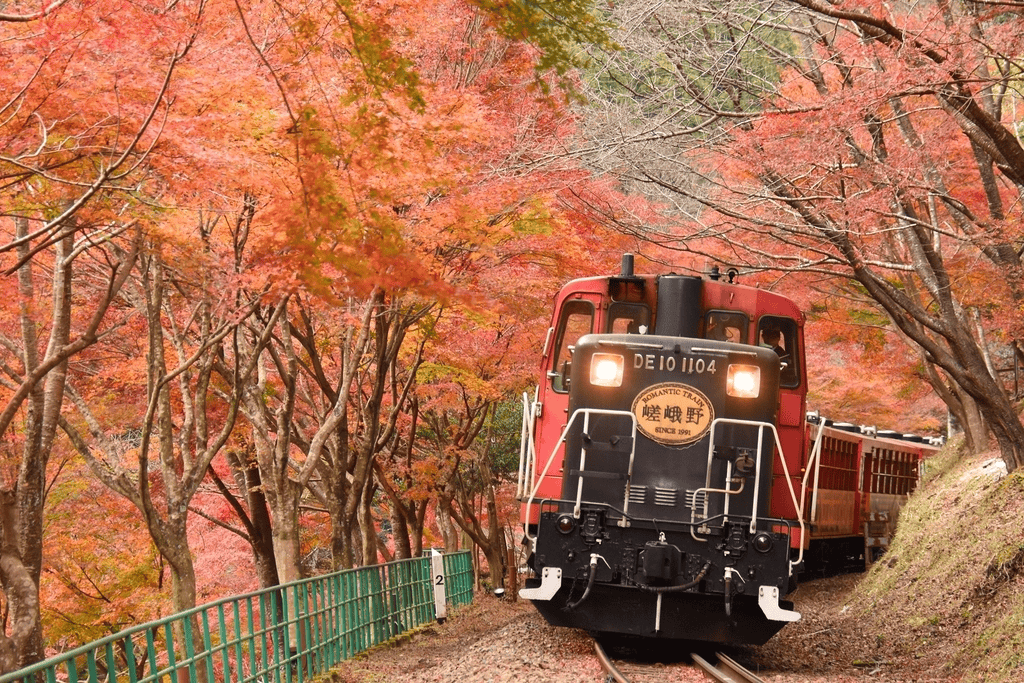 嵐山　紅葉狩り　スポット