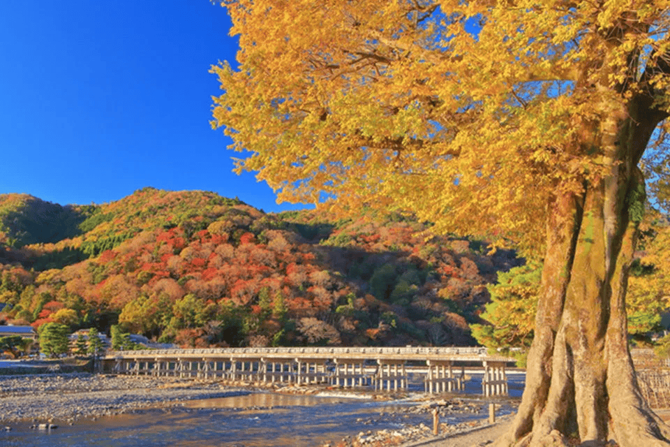 嵐山　紅葉狩り　スポット