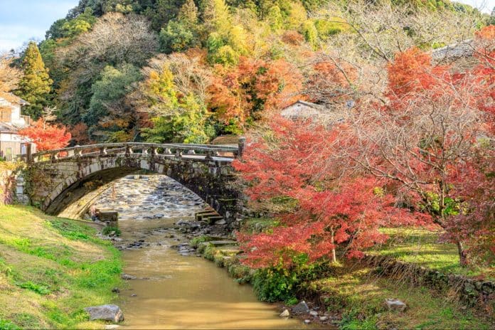 福岡 紅葉