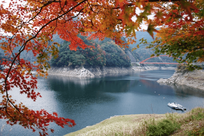 福岡 紅葉 名所