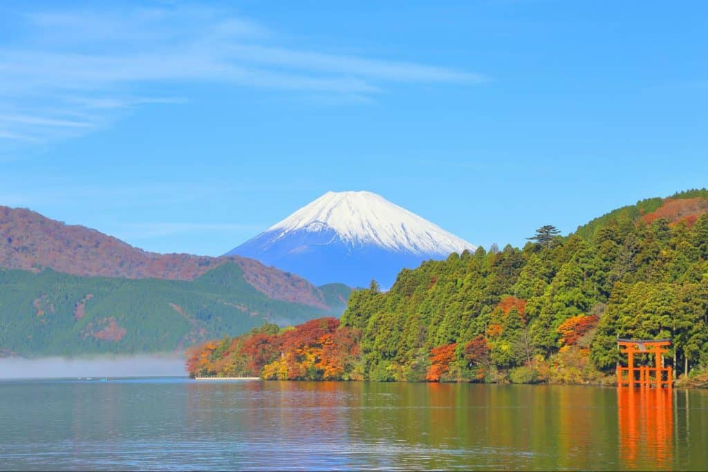 箱根 紅葉 秋キャンプ