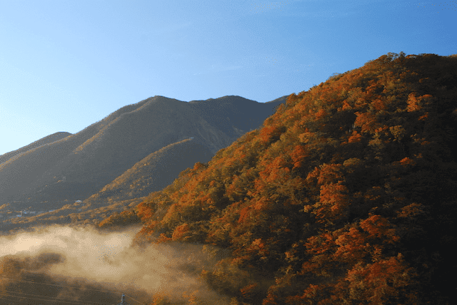 箱根 紅葉 場所