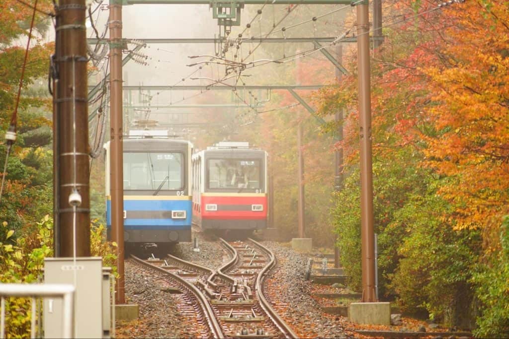 箱根 紅葉 見どころ エリア