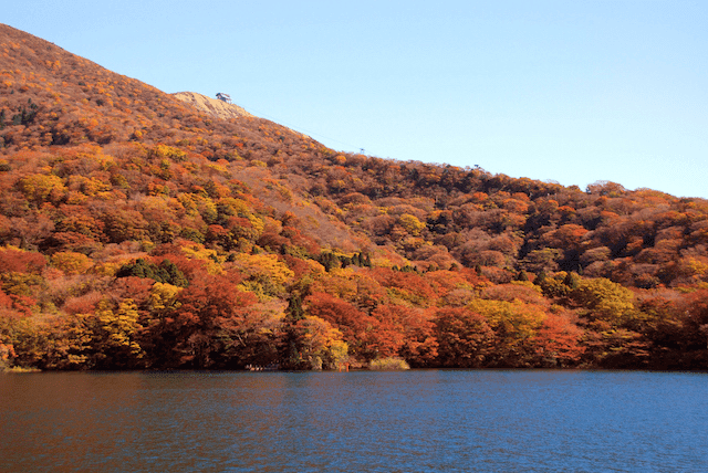 箱根 紅葉 場所