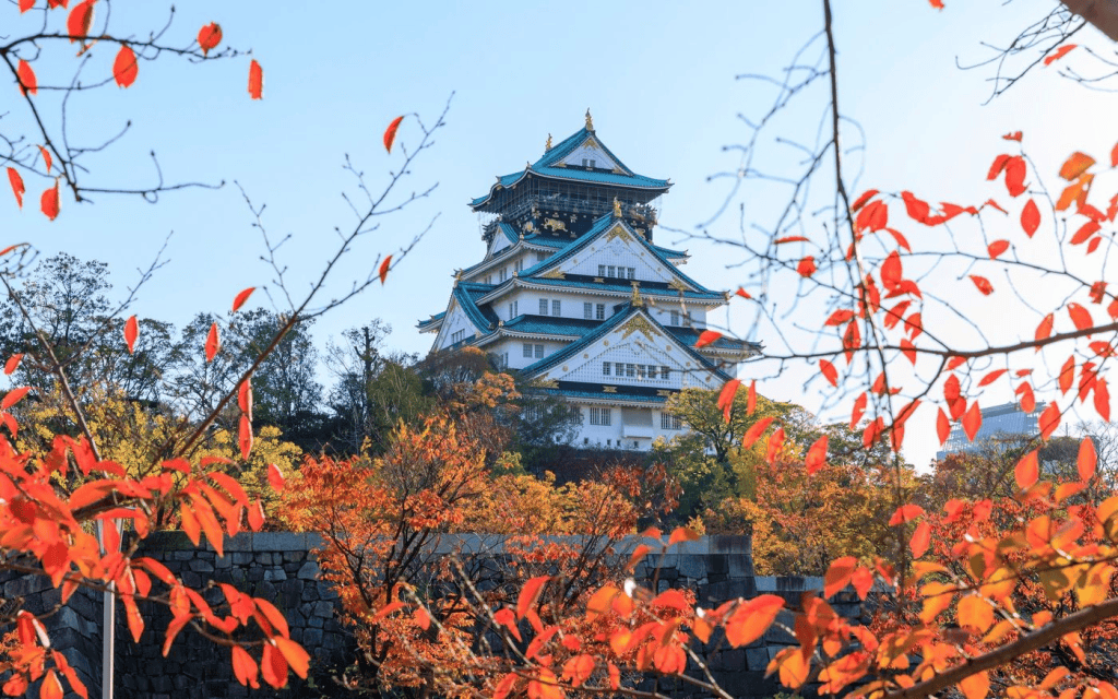 関西 近畿 紅葉 スポット