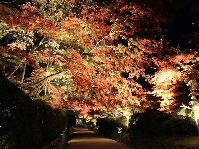 関西 近畿 紅葉 スポット