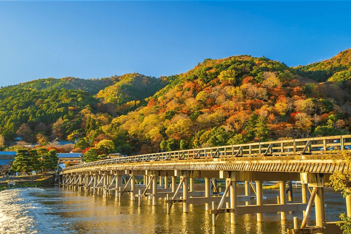 関西 近畿 紅葉 スポット