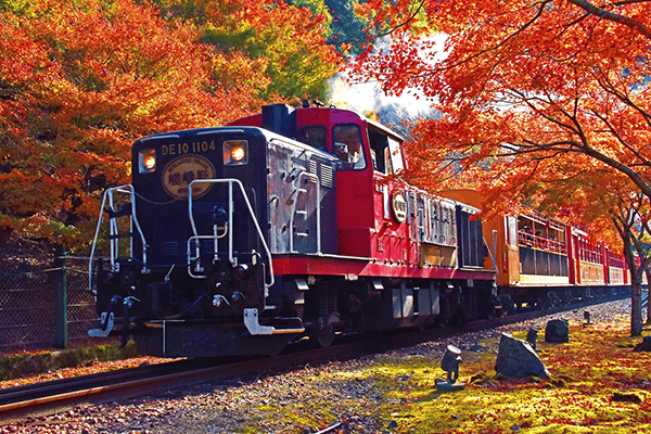 京都 紅葉 おすすめ スポット