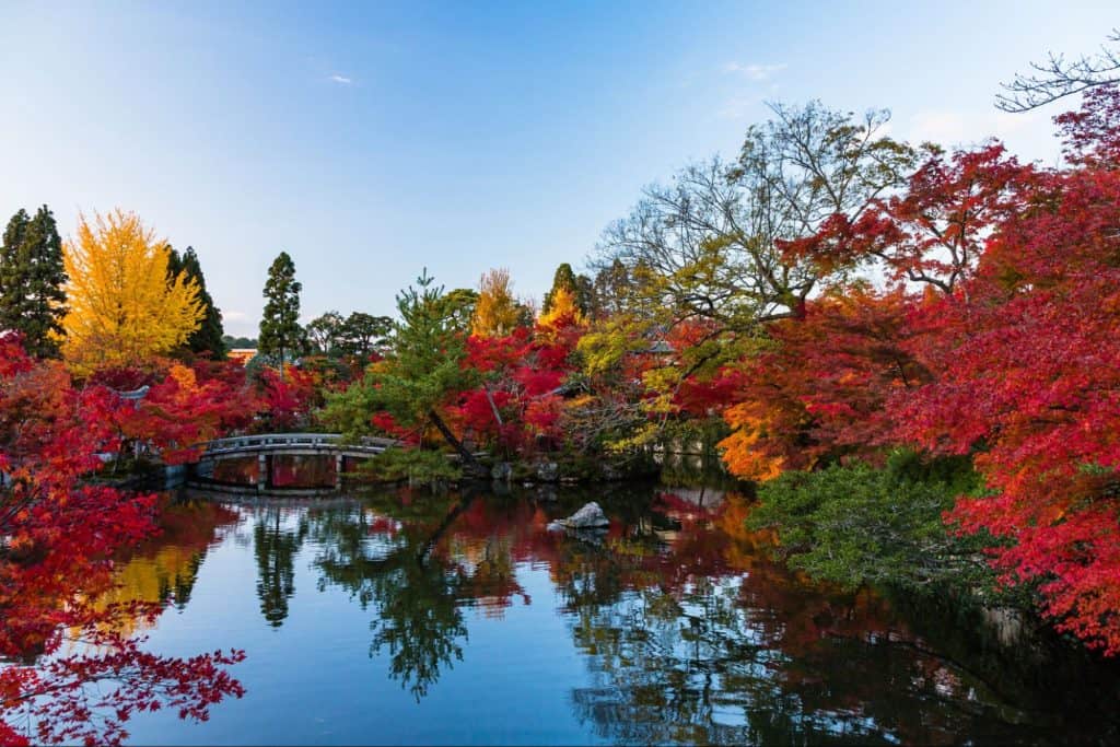 京都 紅葉 見頃