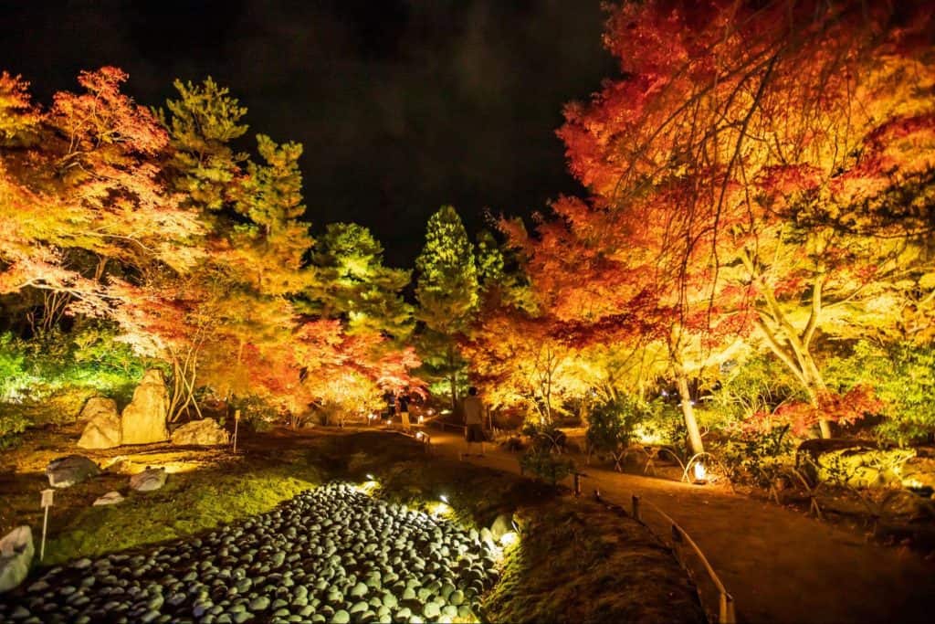 京都 紅葉 観光 注意点