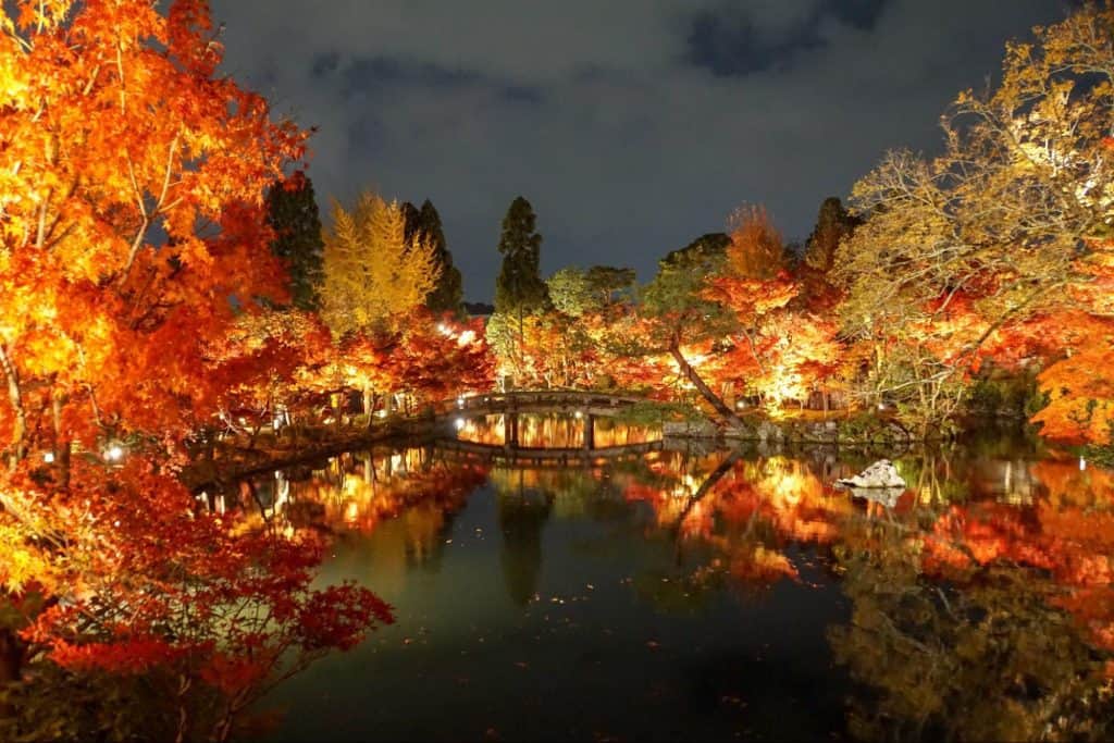 京都 紅葉 キャンプ