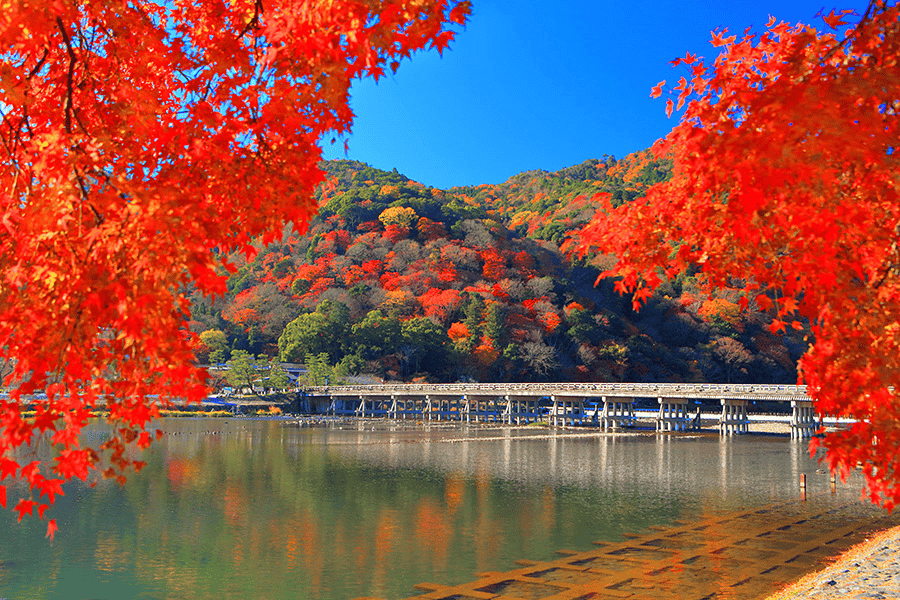 京都 紅葉 おすすめ スポット