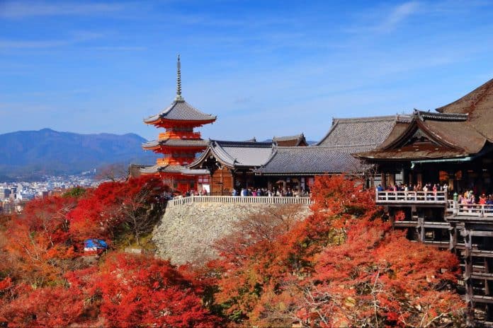 京都 紅葉