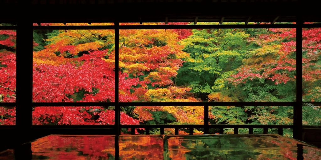 京都 紅葉 おすすめ スポット