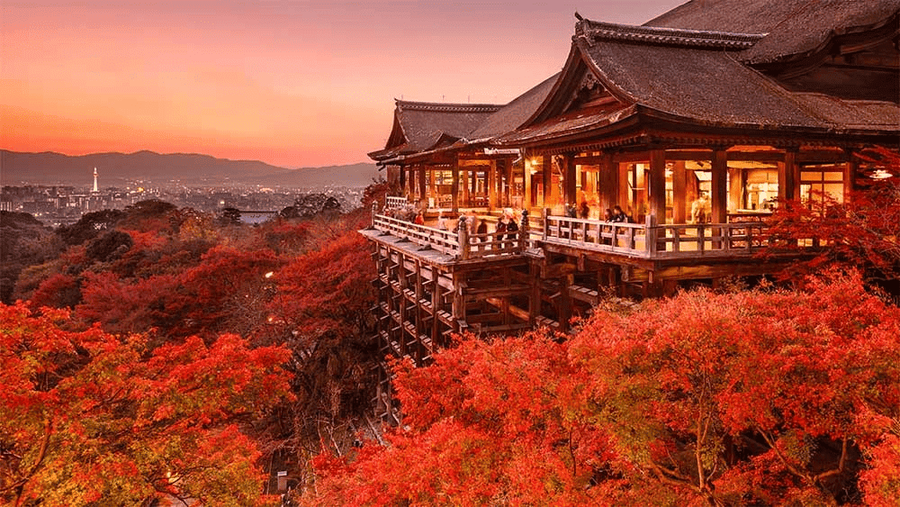 京都 紅葉 おすすめ スポット