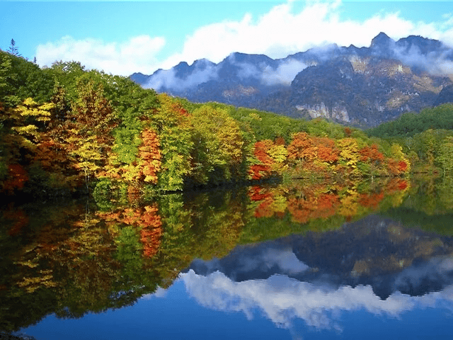 長野 紅葉 場所