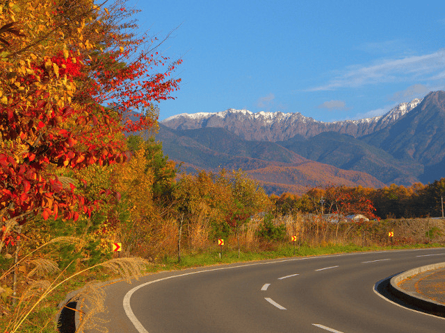 長野 紅葉 場所