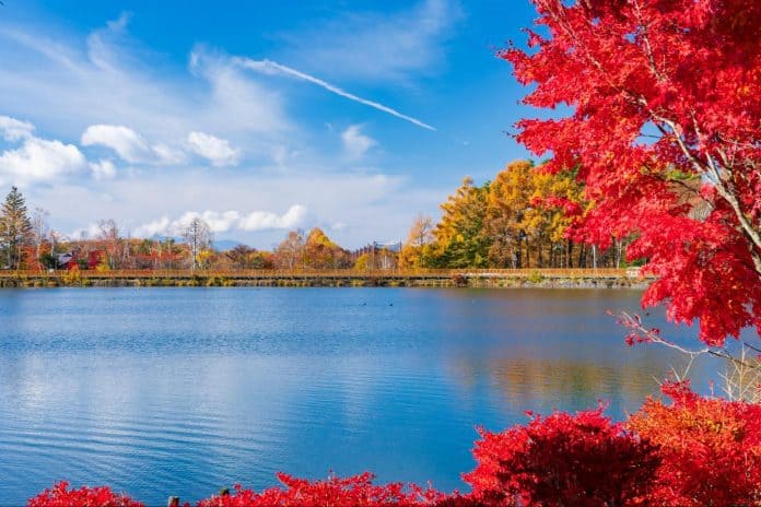 長野 紅葉