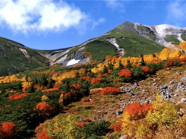 長野 紅葉 場所