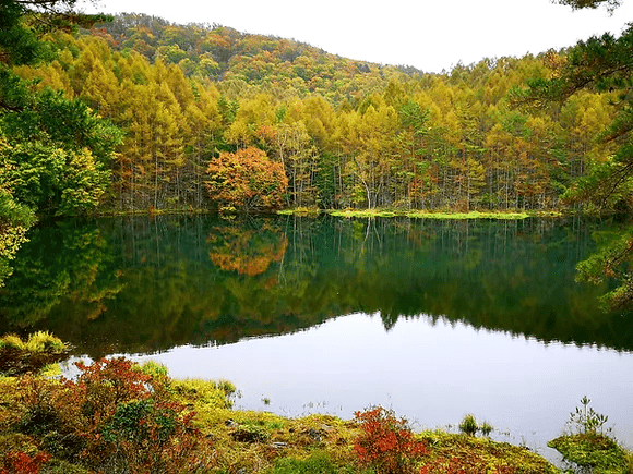 長野 紅葉 場所