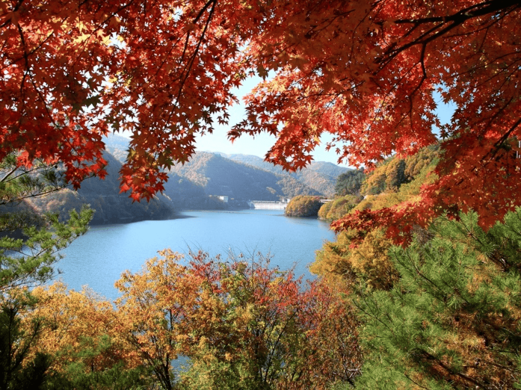 長野 紅葉 場所