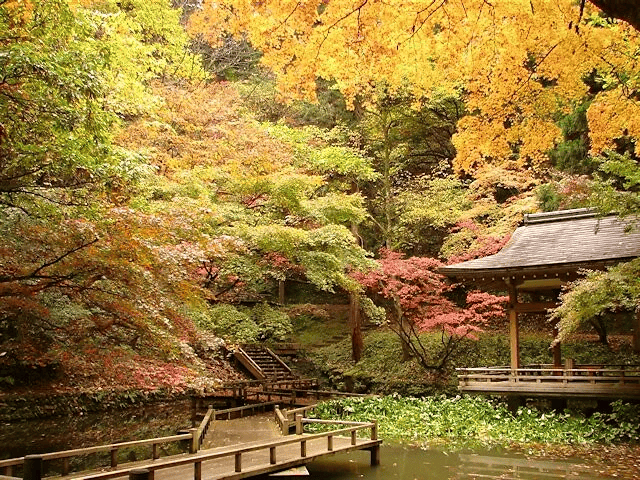 新潟　紅葉　スポット