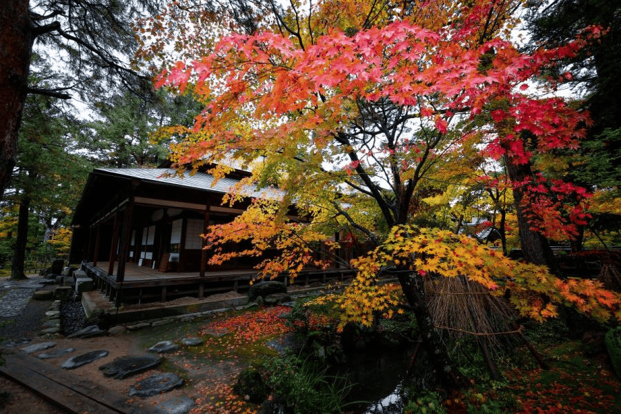 新潟　紅葉　スポット